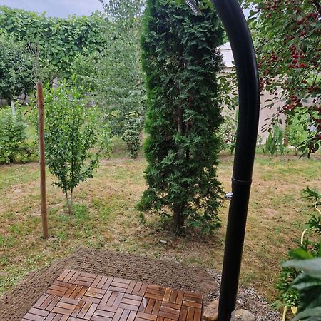 Casa Hariton Villa Dragus Ngoại thất bức ảnh