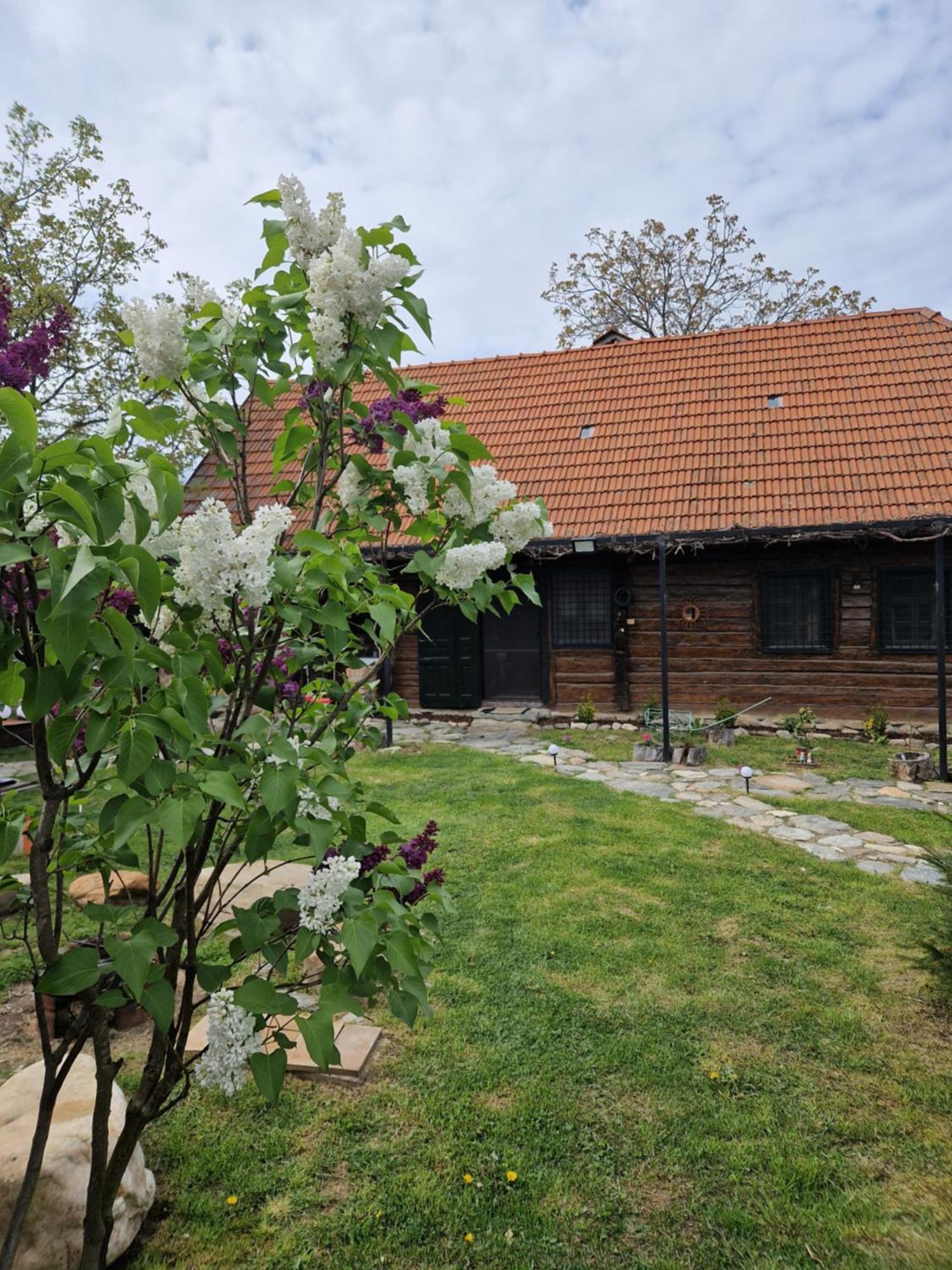 Casa Hariton Villa Dragus Ngoại thất bức ảnh